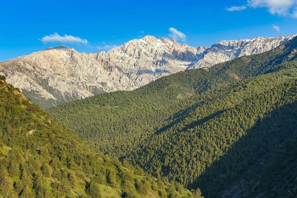 Синегорье — поход в горы на 1 день из Ташкента — photo 3 of 4