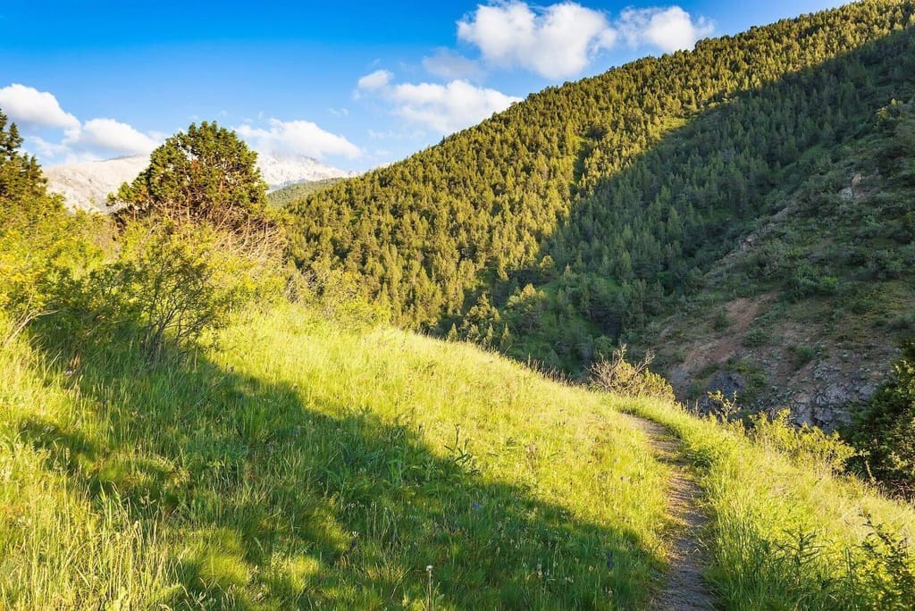 Синегорье — поход в горы на 1 день из Ташкента — photo 4 of 4