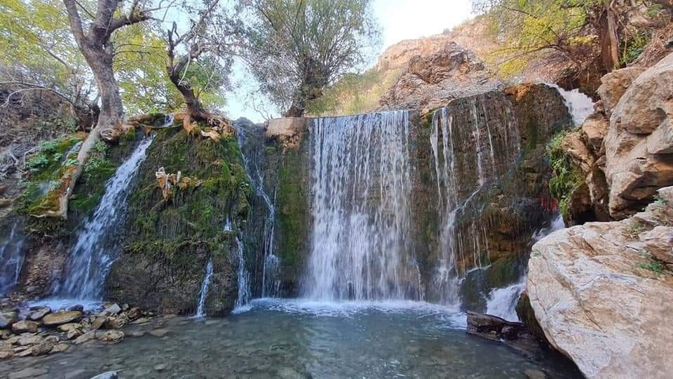 Экскурсия вокруг Чарвака — 1 день из Ташкента — photo 4 of 6