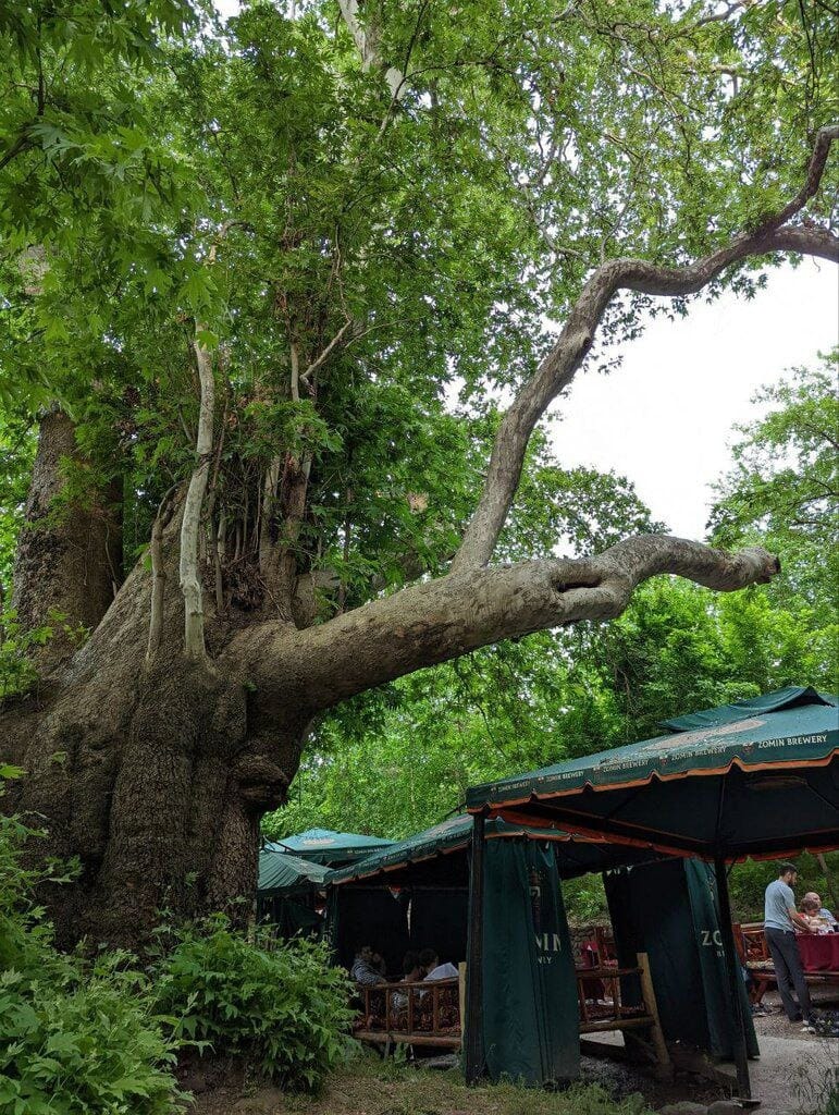 Экскурсия вокруг Чарвака — 1 день из Ташкента — photo 5 of 6