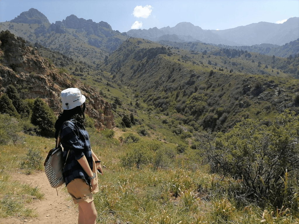 Хвойный лес Сукок — 1 день из Ташкента — photo 2 of 4