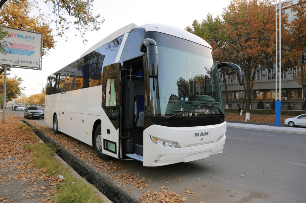 Хвойный лес Сукок — 1 день из Ташкента — photo 4 of 4