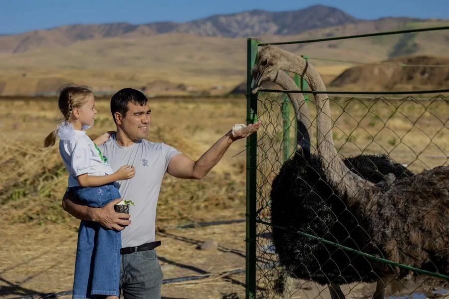 Страусиная ферма — семейный тур на 1 день — photo 2 of 4