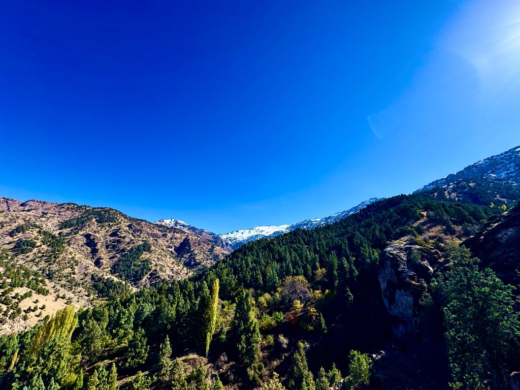 Узбекские Альпы — Лашкерек (поход на 1 день из Ташкента) — photo 3 of 6