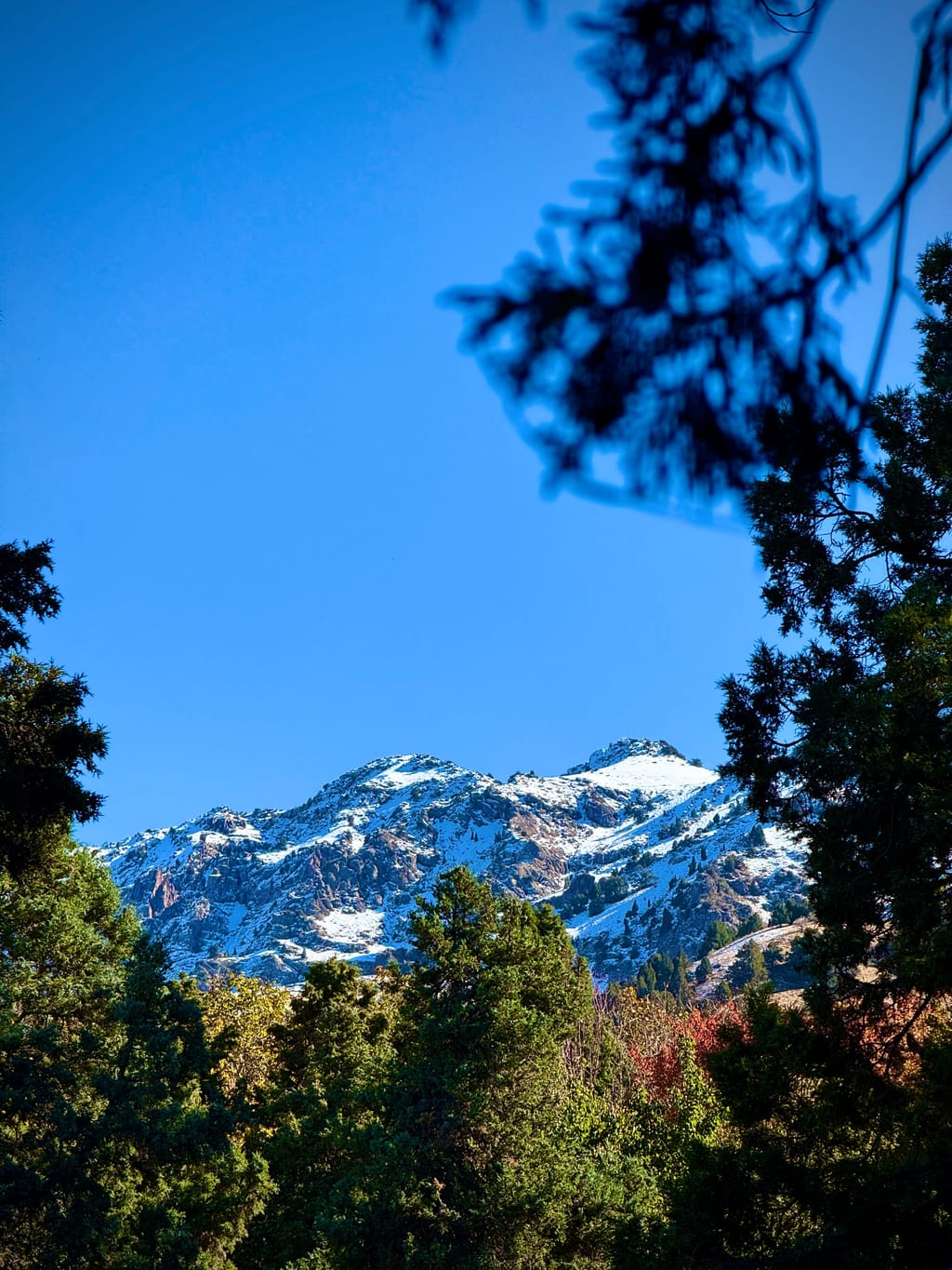 Узбекские Альпы — Лашкерек (поход на 1 день из Ташкента) — photo 4 of 6