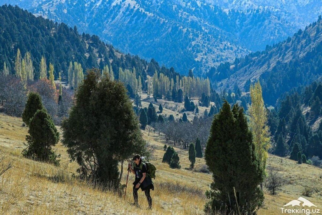 Узбекские Альпы — Лашкерек (поход на 1 день из Ташкента) — photo 6 of 6